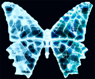 Image - diversity butterfly skeleton abstract